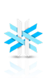 Snowgage Logo