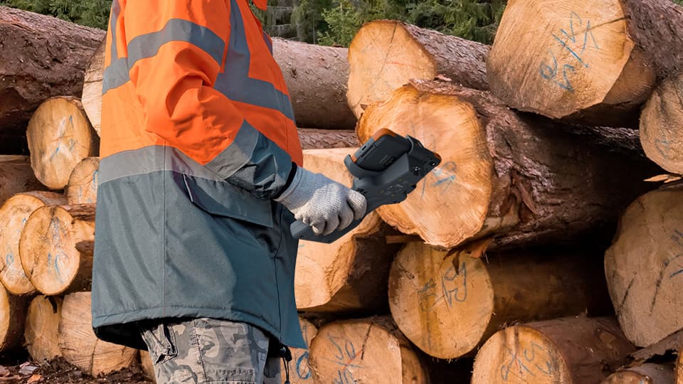 Forestry Applications Image